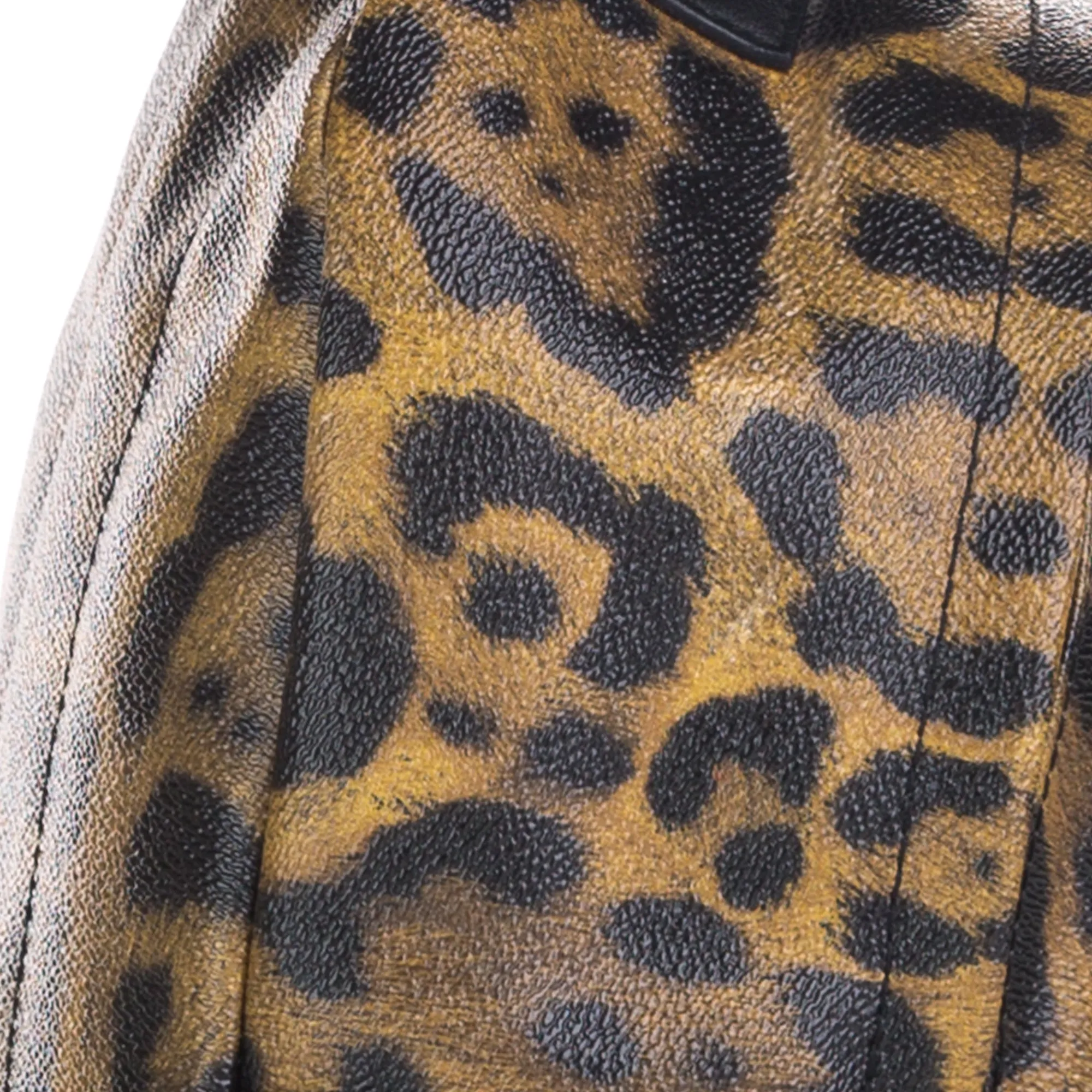 Brown Louis Vuitton Wild Animal Palm Springs PM Backpack